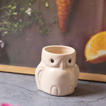 owl planter with premium quality material