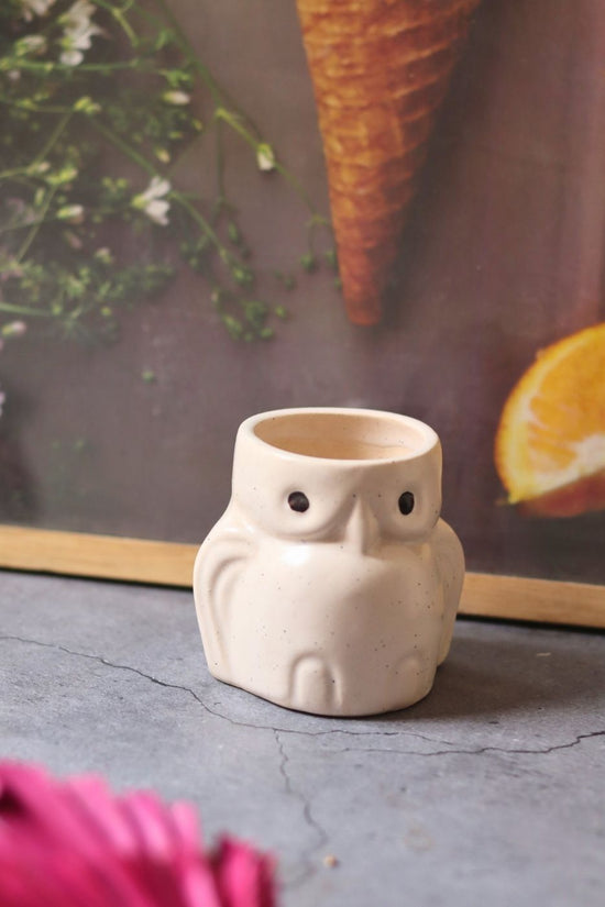 owl planter with premium quality material
