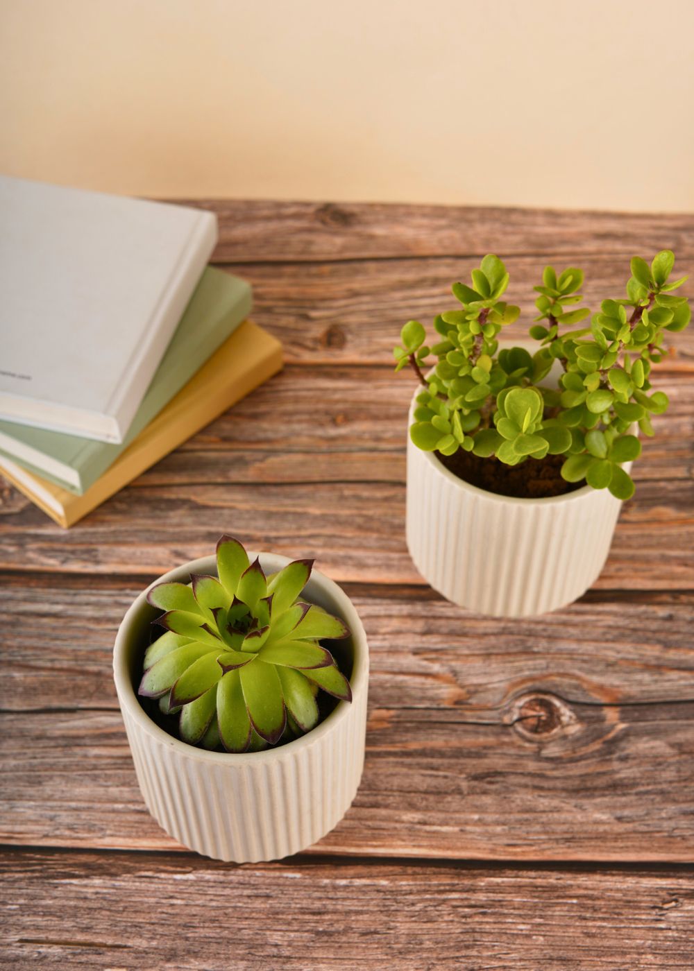 ribbed white planter with white color