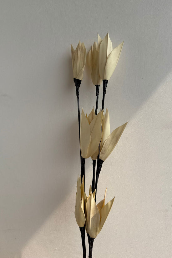Beige Bliss Bunch made with premium quality material