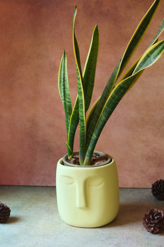 Handmade ceramic nordic face planter