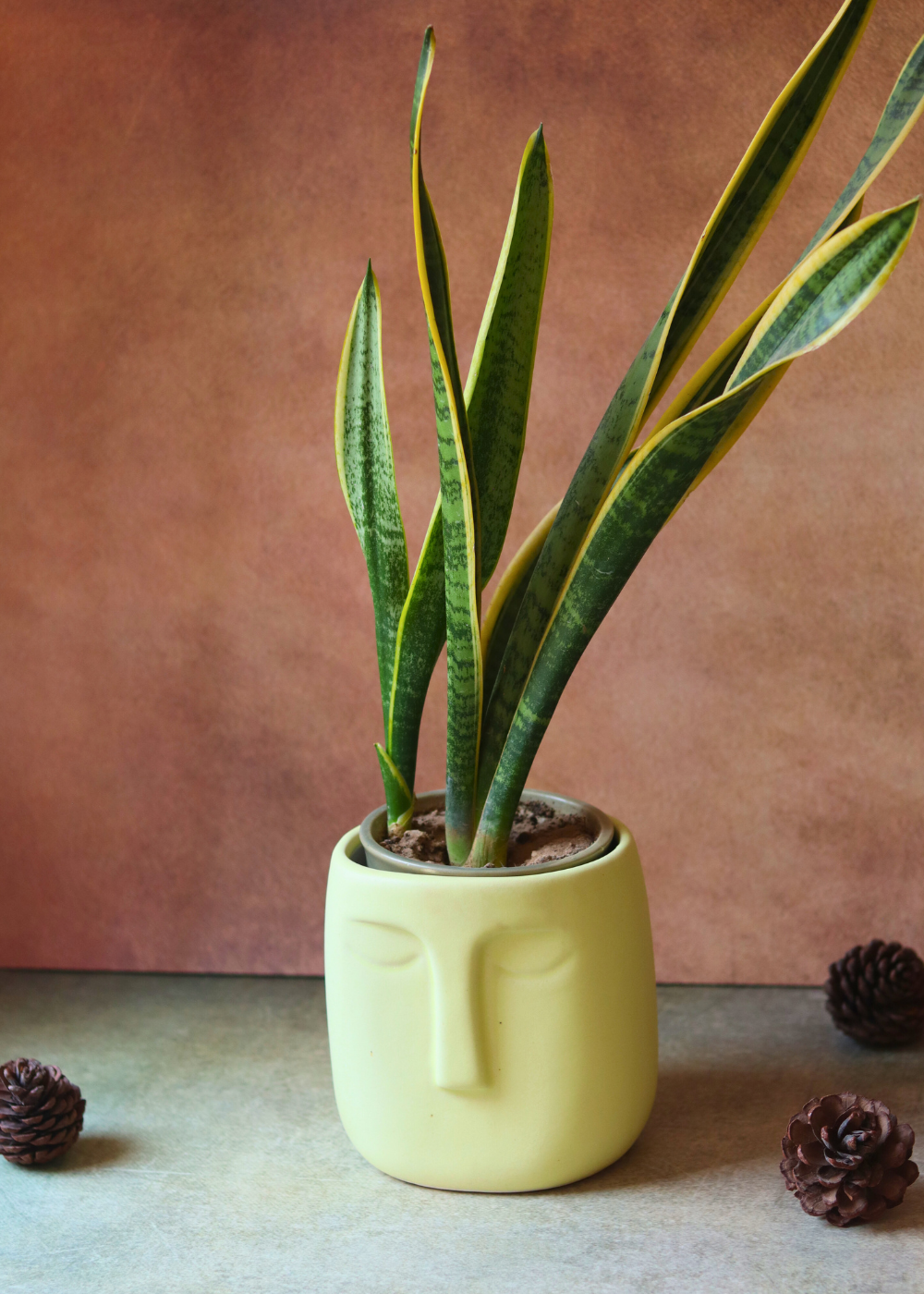 Handmade ceramic nordic face planter