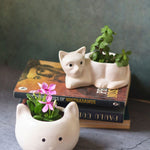 handmade cat & kitty planter 