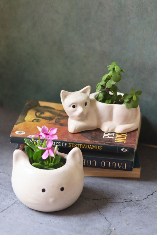 handmade cat & kitty planter 