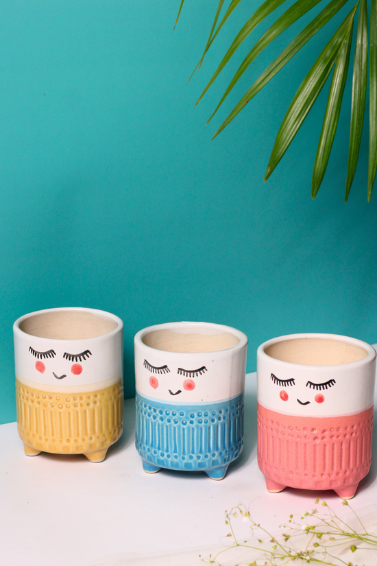 Ceramic Indoor Planters