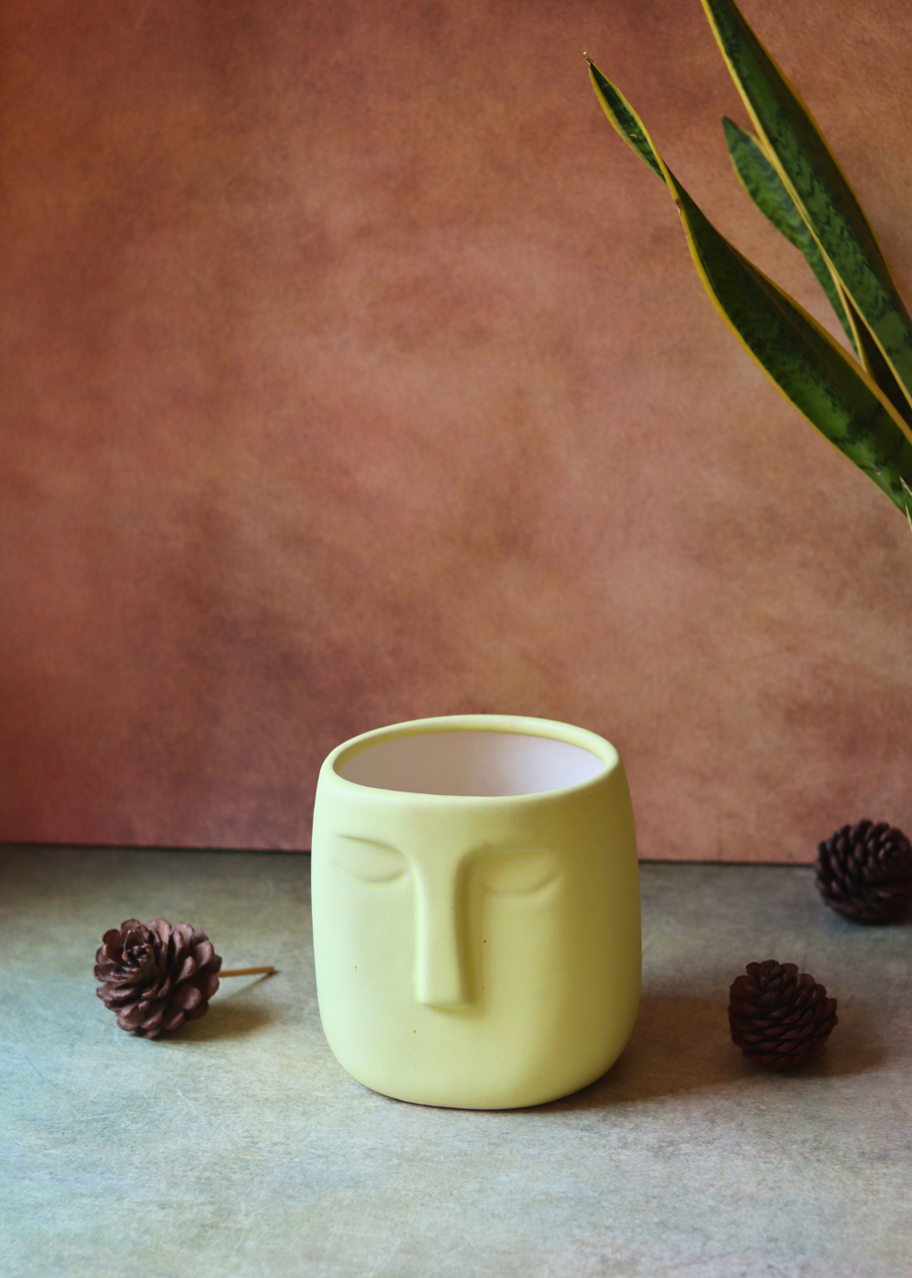 Nordic face plant pot handmade ceramic 