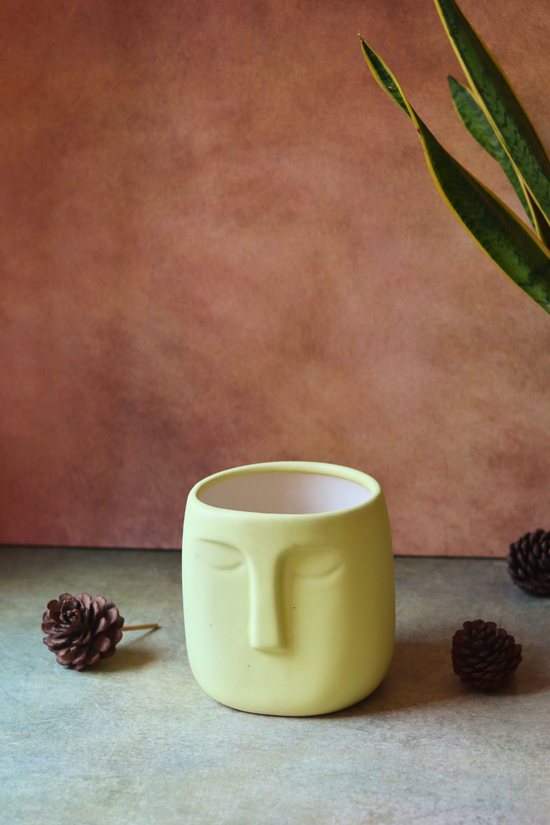 Nordic face plant pot handmade ceramic 