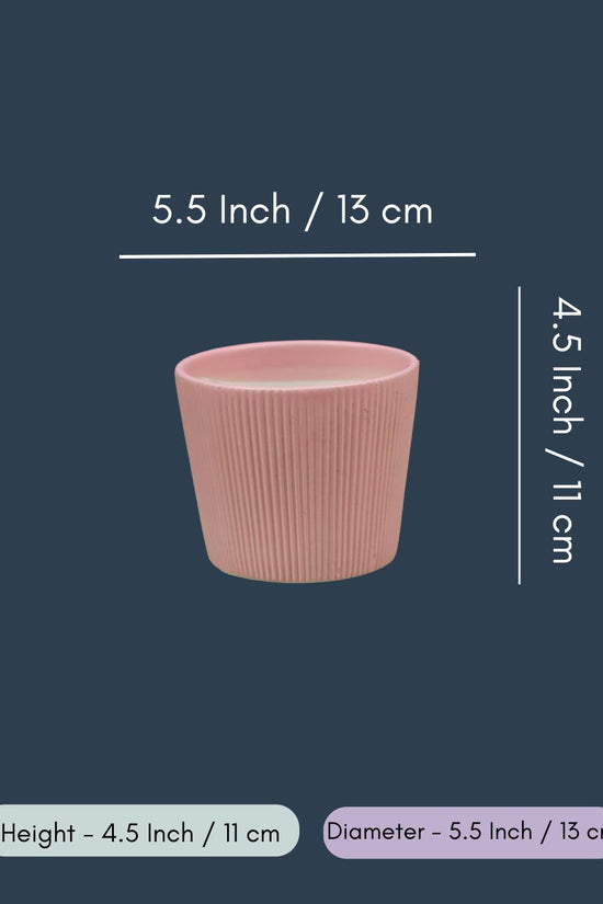 Rosy Pink Planter