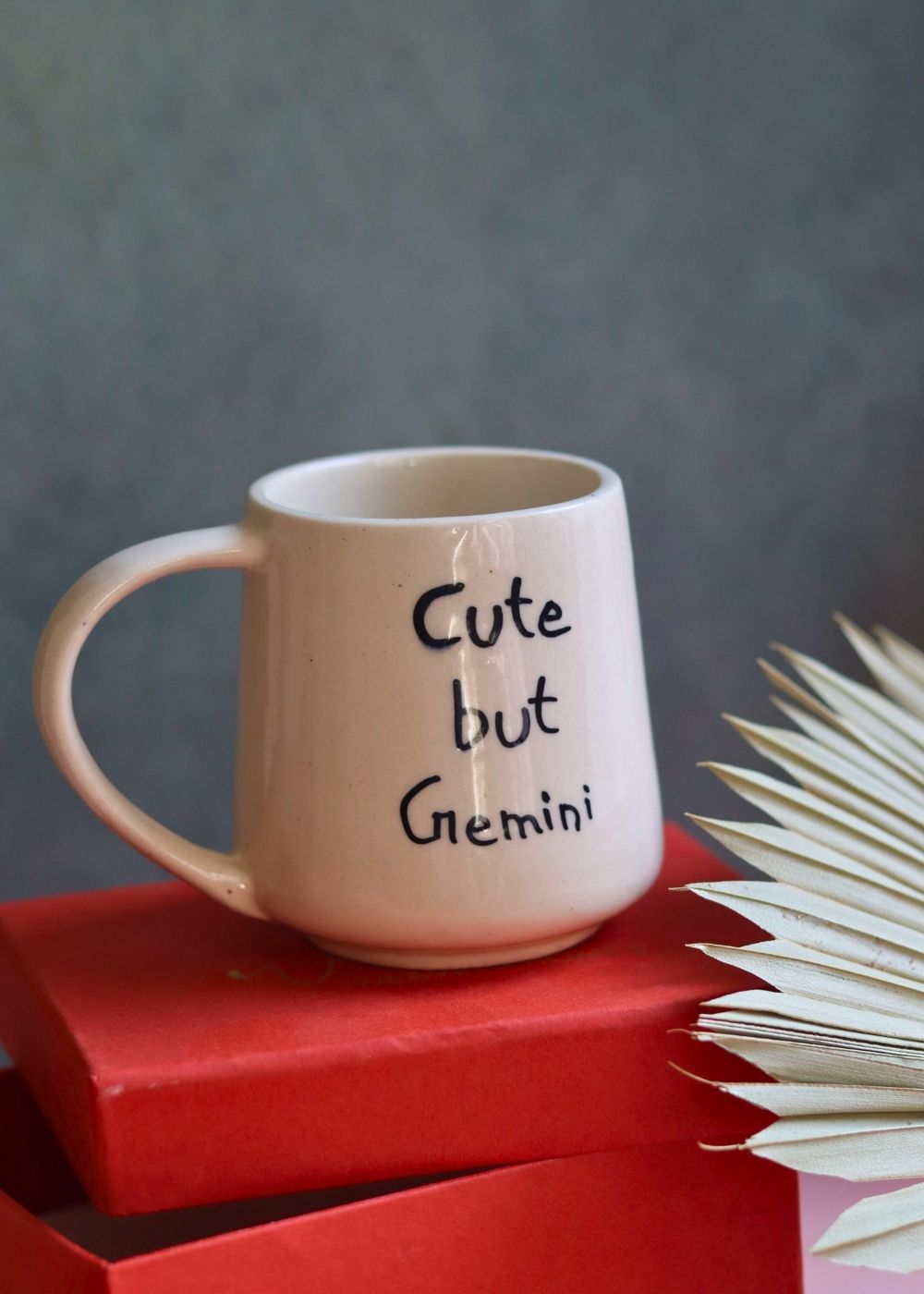 cute but gemini mug in a gift box for your special one 