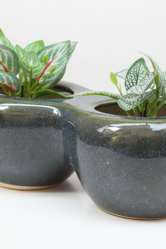 Twice a bloom planter