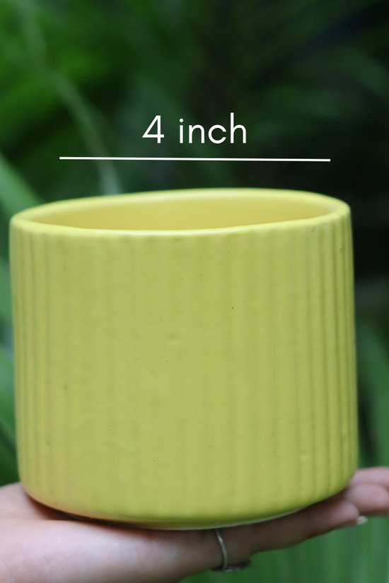 Handmade ceramic yellow lined planter 