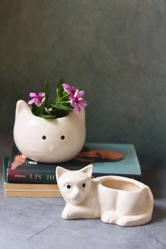 cat & kitty planter made by ceramic 