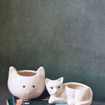 cat &  kitty planter with premium quality 