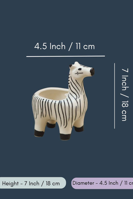 Zebra Planter