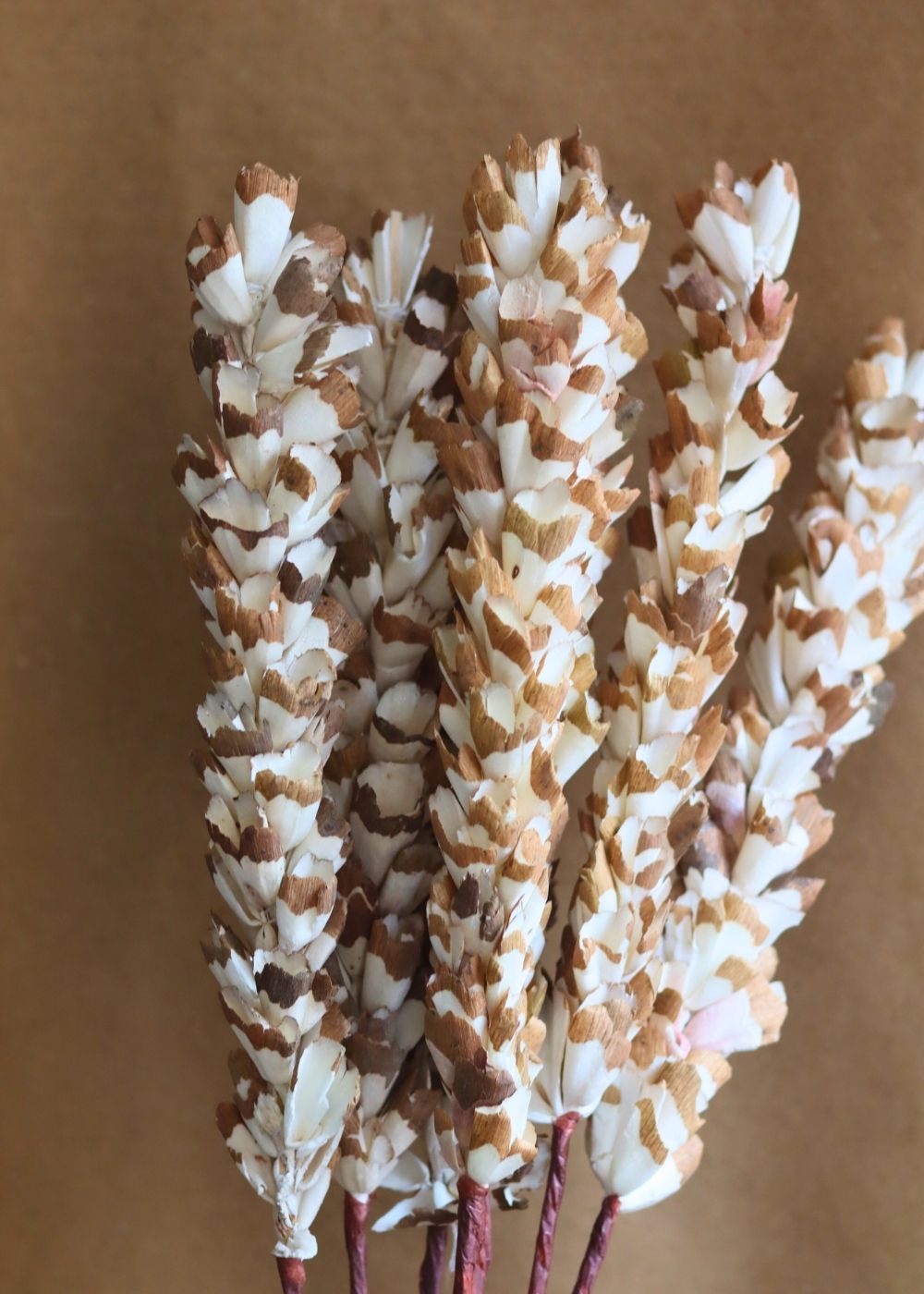 Dried Jasmine Flower Bunch with premium quality material
