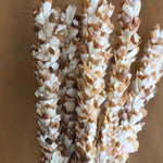 Dried Jasmine Flower Bunch with premium quality material