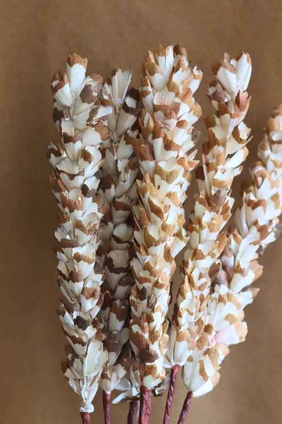 Dried Jasmine Flower Bunch with premium quality material