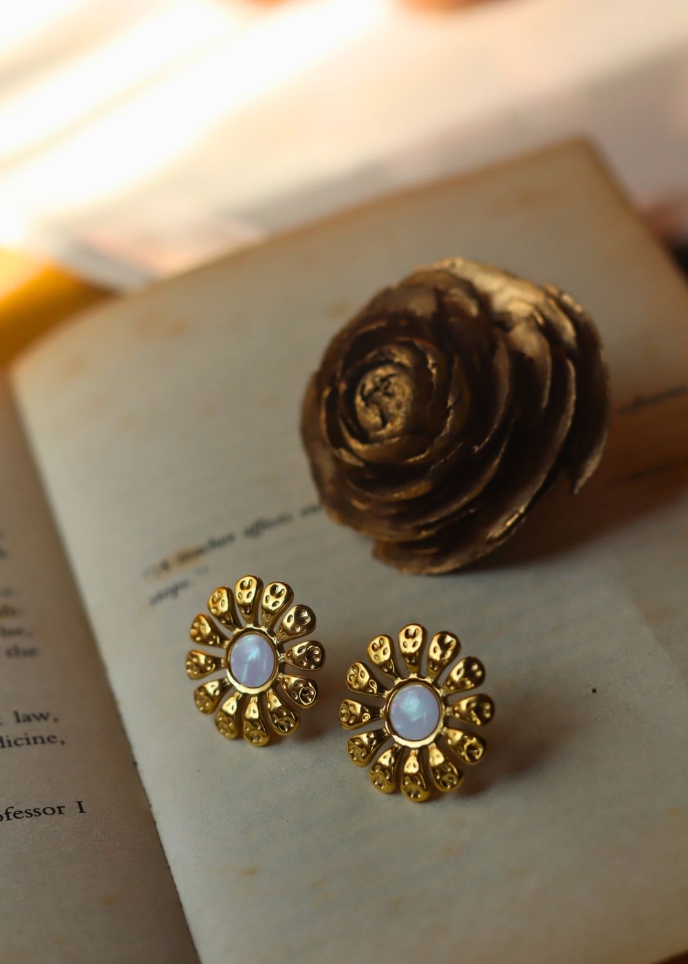 Hypoallergic Brightday Earrings
