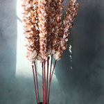 Dried Jasmine Flower Bunch handmade in India