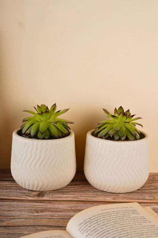 handmade essential planter white 