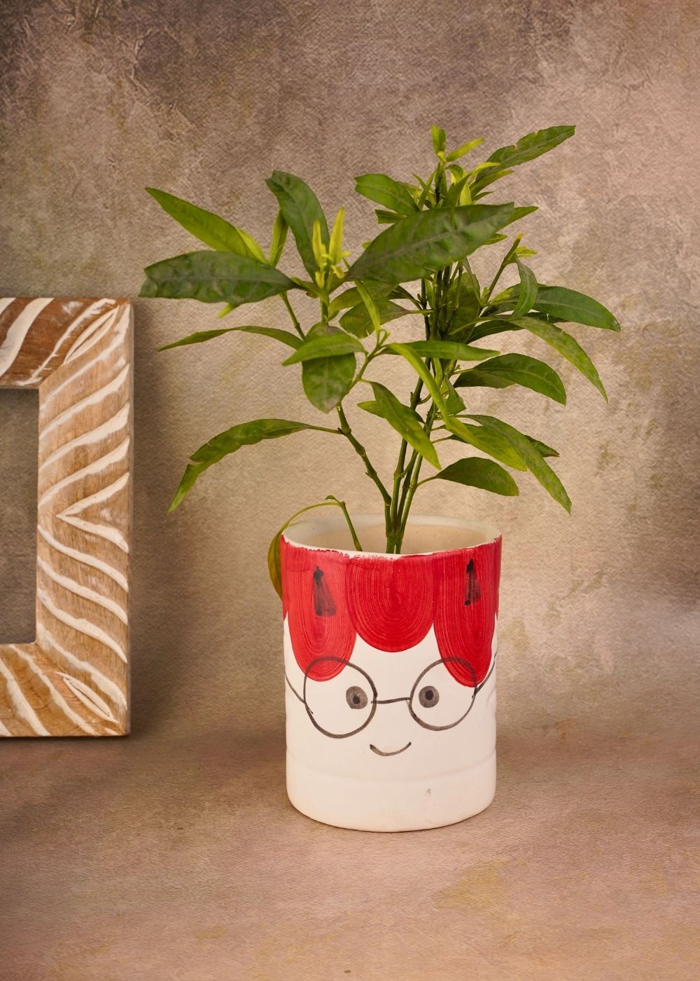 cat desk planter pot with red & white color