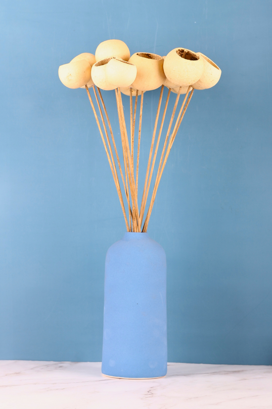 Dried natural bael cups- bunch