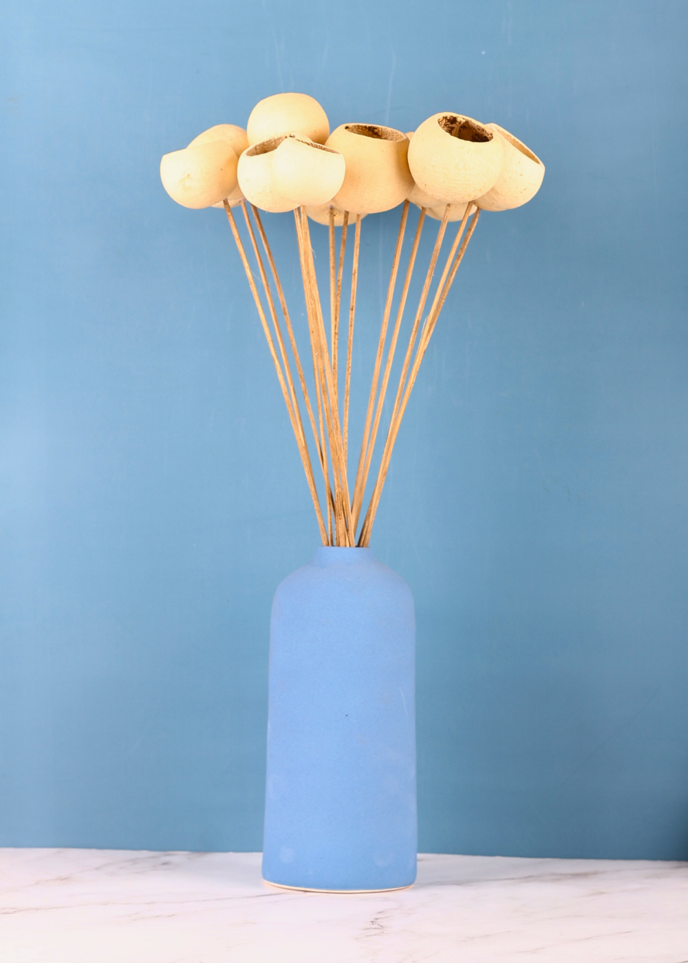 dried natural bael cups- bunch