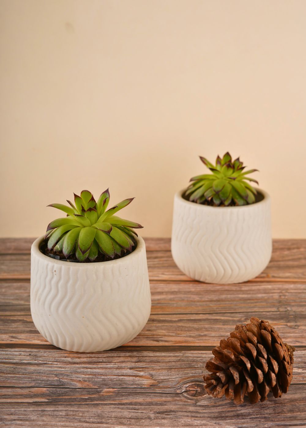 white essential planter handmade in india