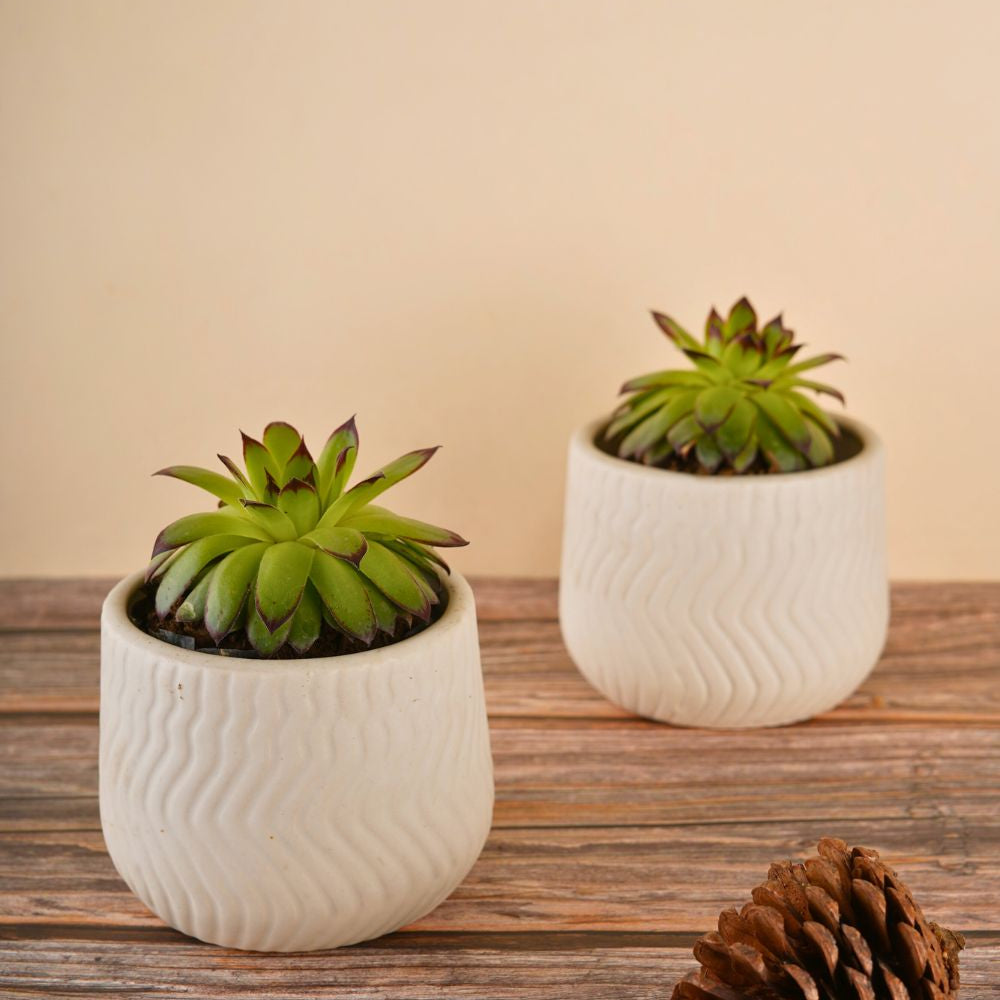 essential white planter handmade in india