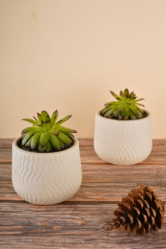 essential white planter handmade in india