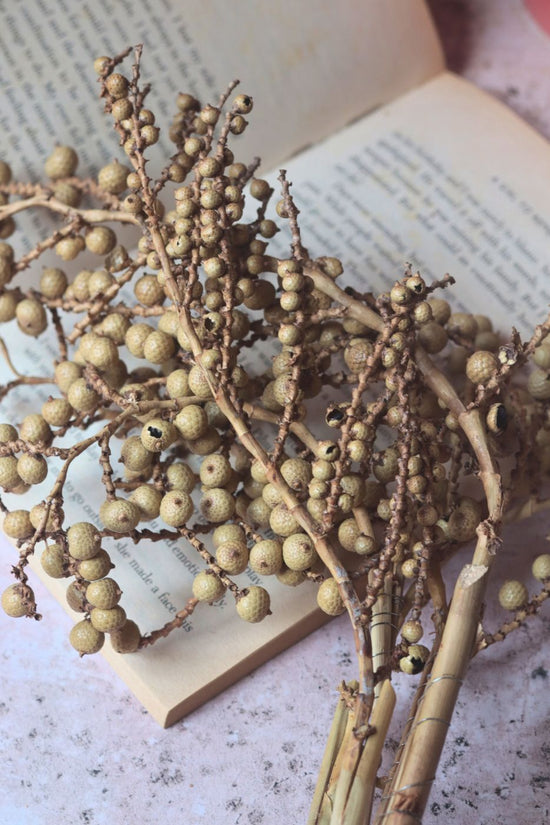 Dried Bael Bunch handmade in india