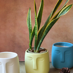 nordic face planter made by ceramic & handmade in india 