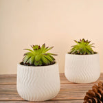 essential white planter made by ceramic 