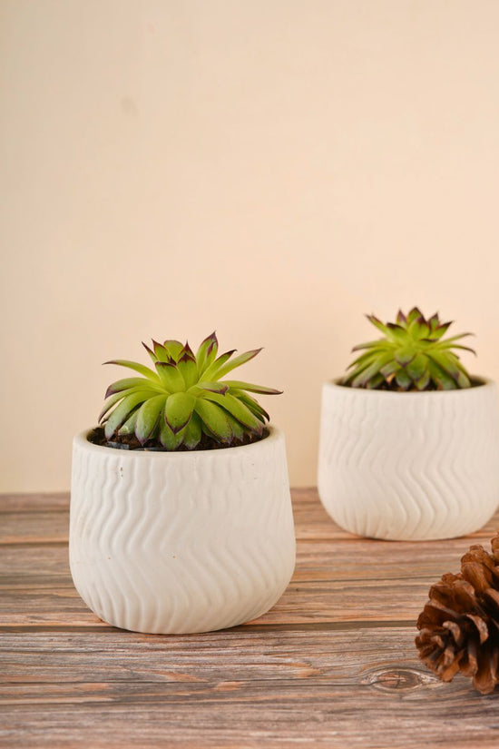 essential white planter made by ceramic 