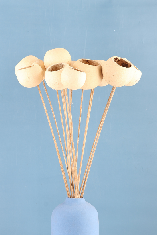 Dried natural bouquet in blue vase