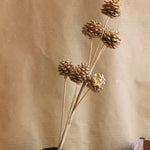 Golden pinecones Bunch with premium quality material