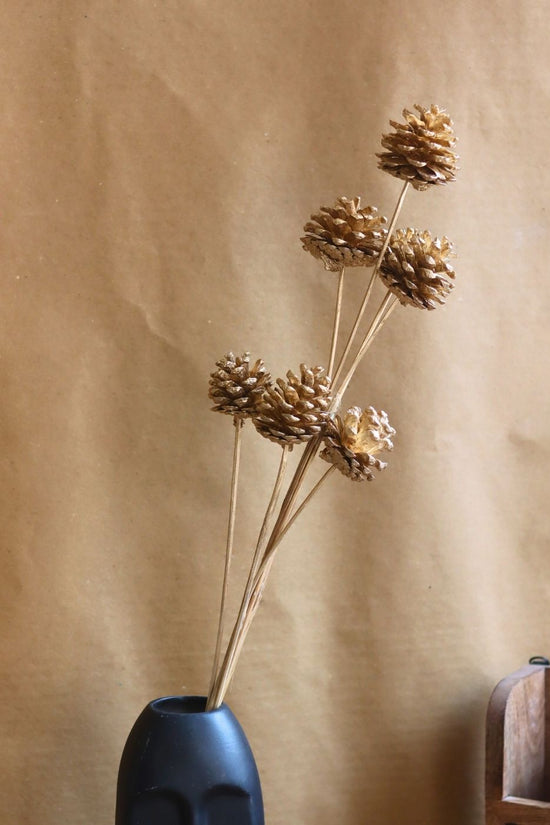 Golden pinecones Bunch with premium quality material
