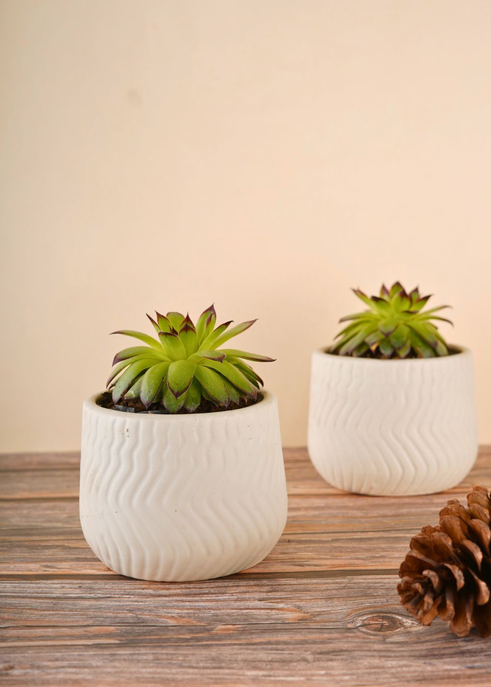 white essential planter made by ceramic 