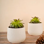 white essential planter made by ceramic 