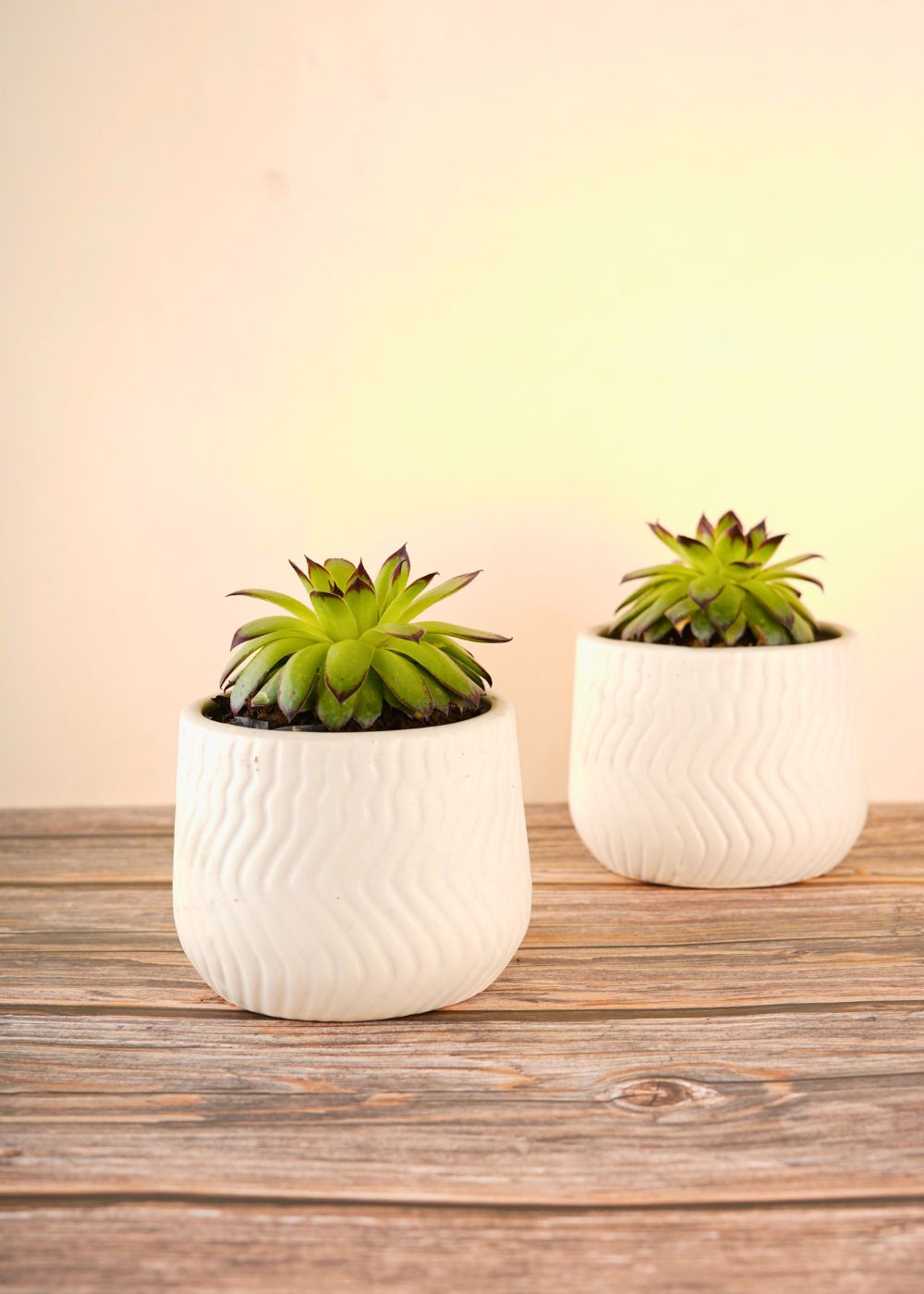 essential white planter with premium white color