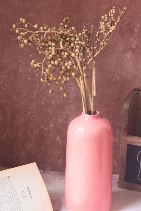 Dried Bael Bunch for your home decor