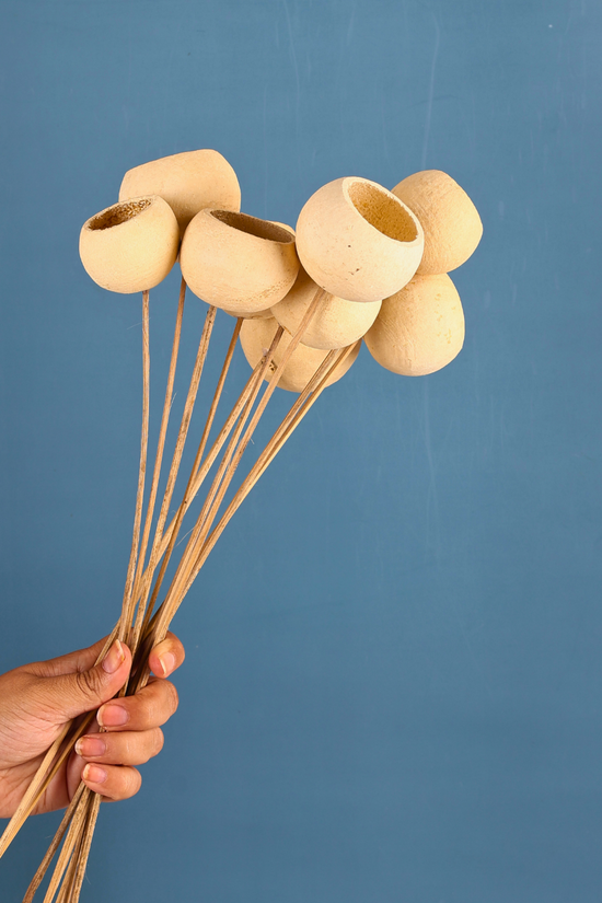 Dried natural bael cups bouquet in hand