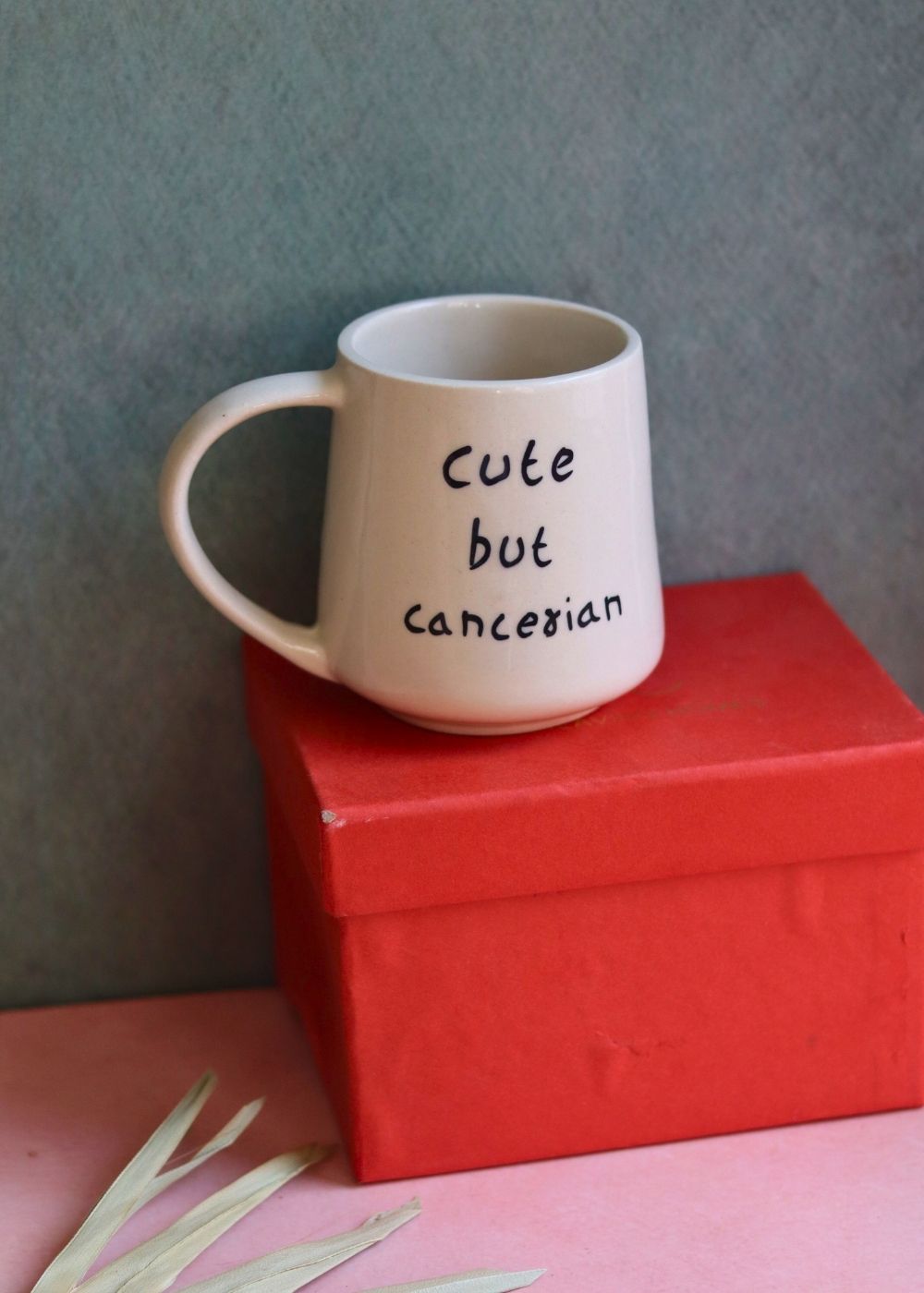 cute but cancerian mug in a gift box for perfect gift
