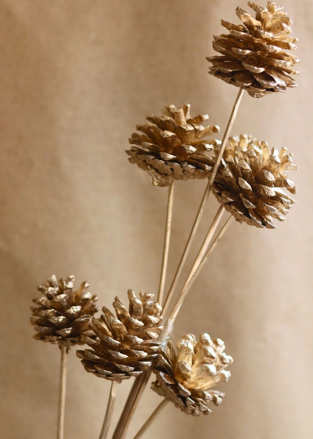 Golden pinecones Bunch handmade in india