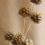 Golden pinecones Bunch handmade in india