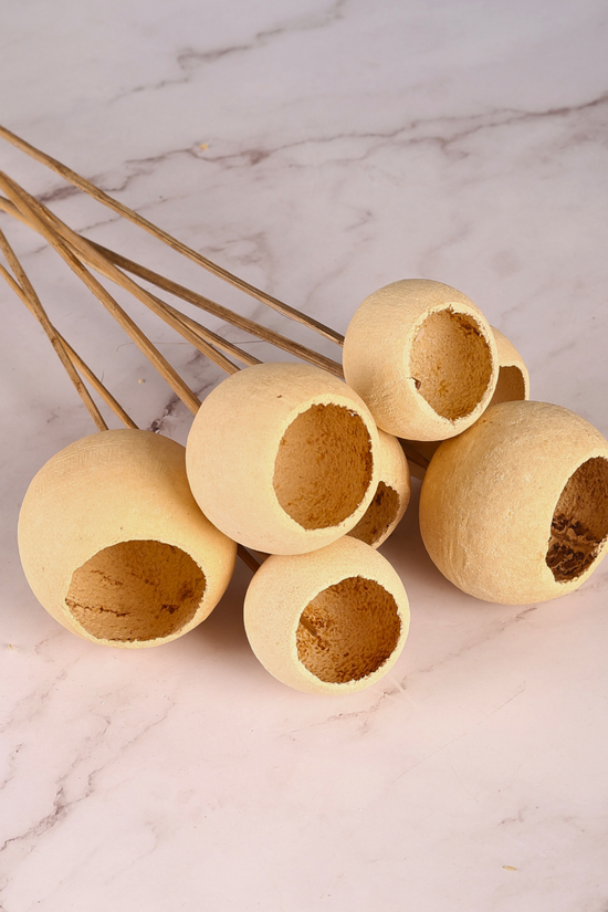 Natural bael cups 