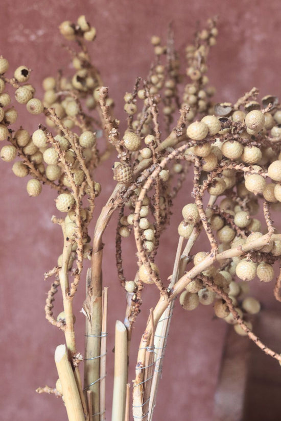 Dried Bael Bunch premium quality bunch