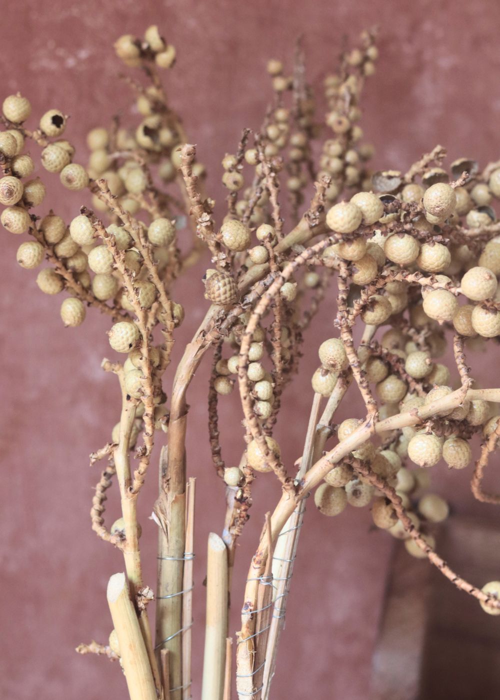 Dried Bael Bunch premium quality bunch