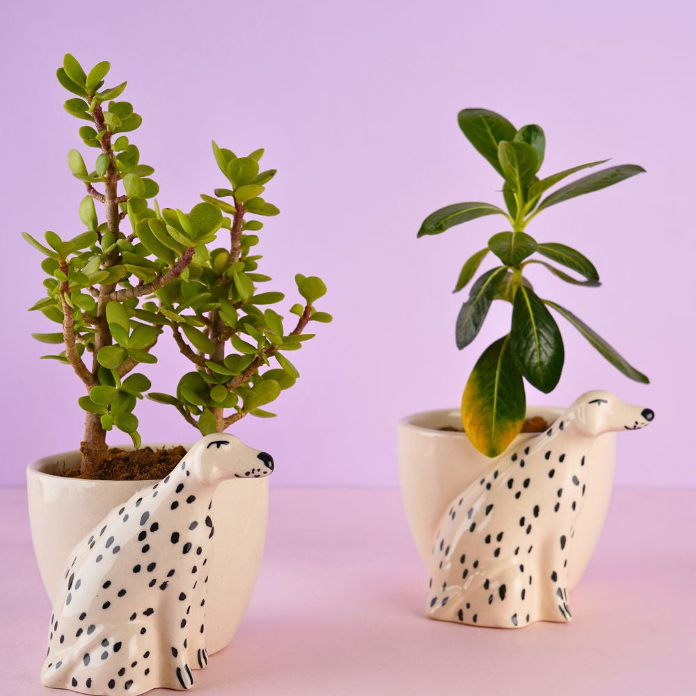 doggy planter handmade in india