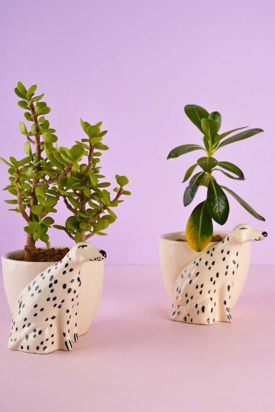 doggy planter handmade in india